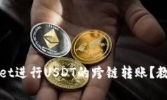 : 如何使用TPWallet进行USDT的跨链转账？教程与常见