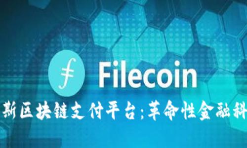 探索俄罗斯区块链支付平台：革命性金融科技的未来