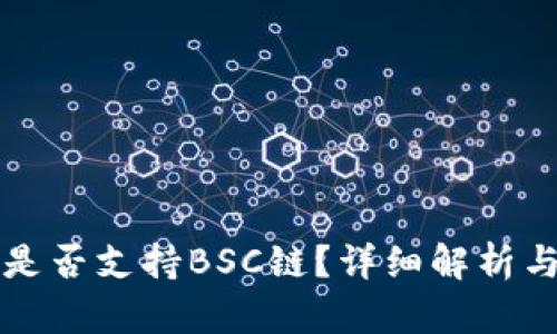 tpwallet是否支持BSC链？详细解析与使用指南