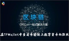 如何在TPWallet中查看币安链