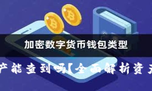 TPWallet转移资产能查到吗？全面解析资产转移的可追溯性