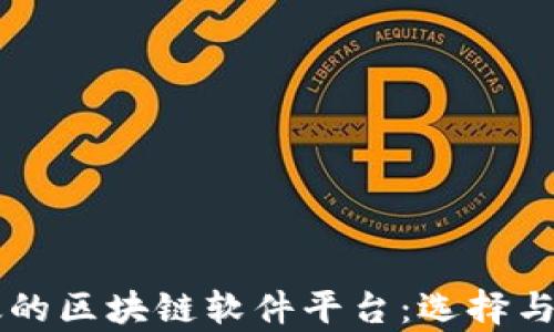 
真实有效的区块链软件平台：选择与评估指南