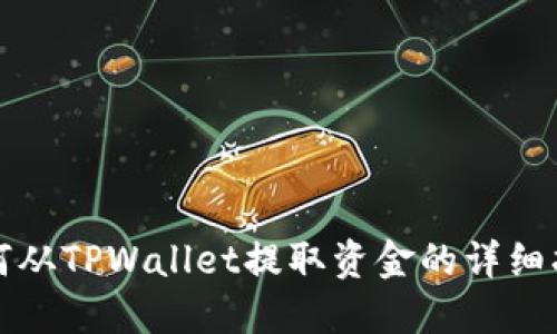 如何从TPWallet提取资金的详细指南